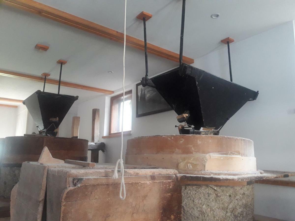 Old Mill House Διαμέρισμα Bohinj Εξωτερικό φωτογραφία